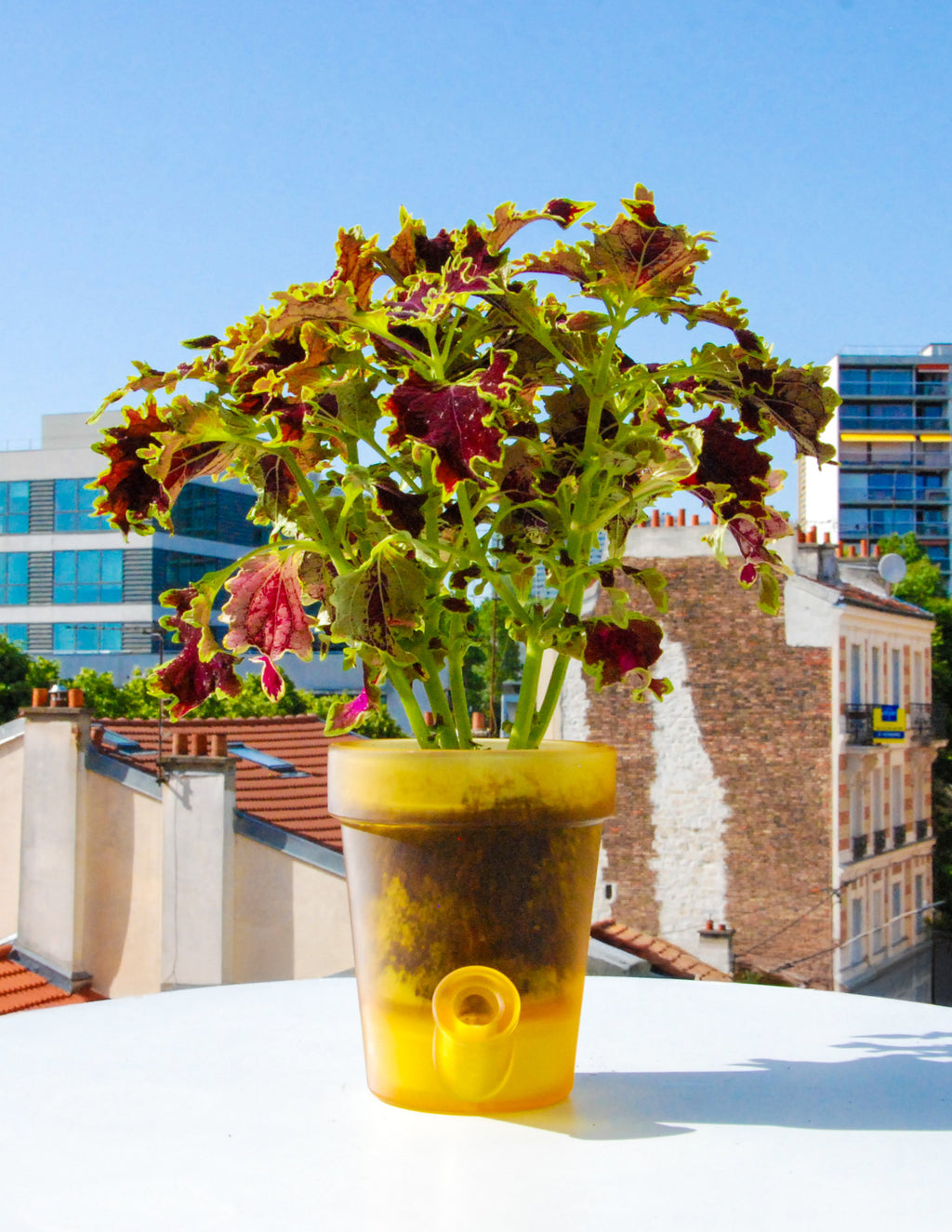 Grand Pot de Fleurs - COMPLEMENTAIRE 3