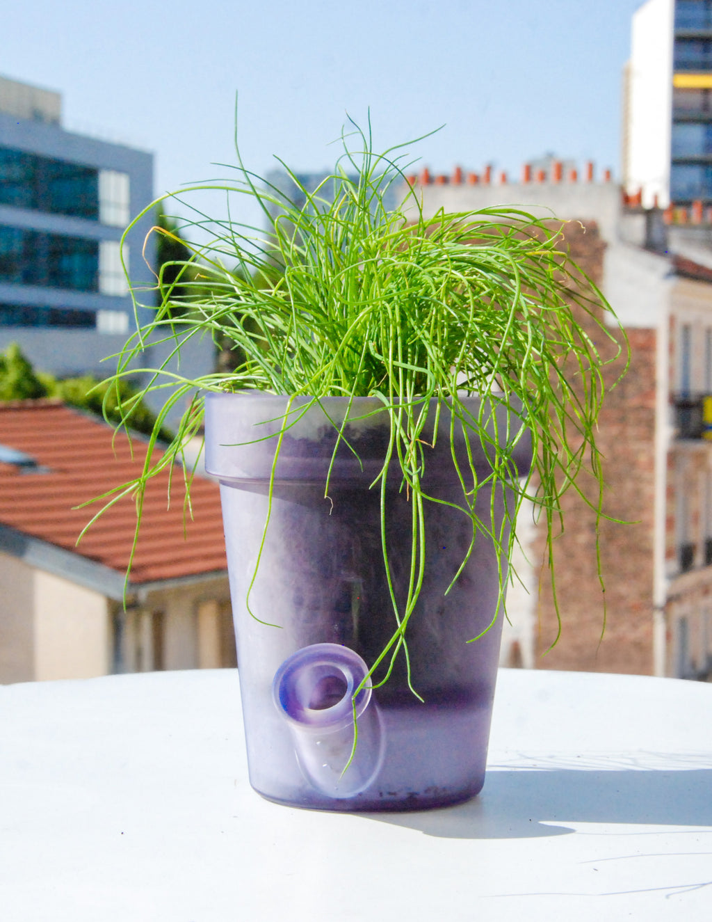 Grand Pot de Fleurs - PACK FROID