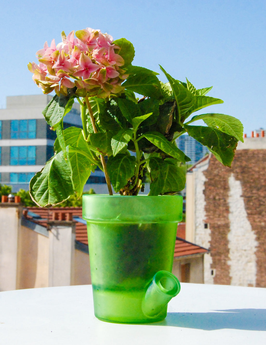 Grand Pot de Fleurs - COMPLEMENTAIRE 2