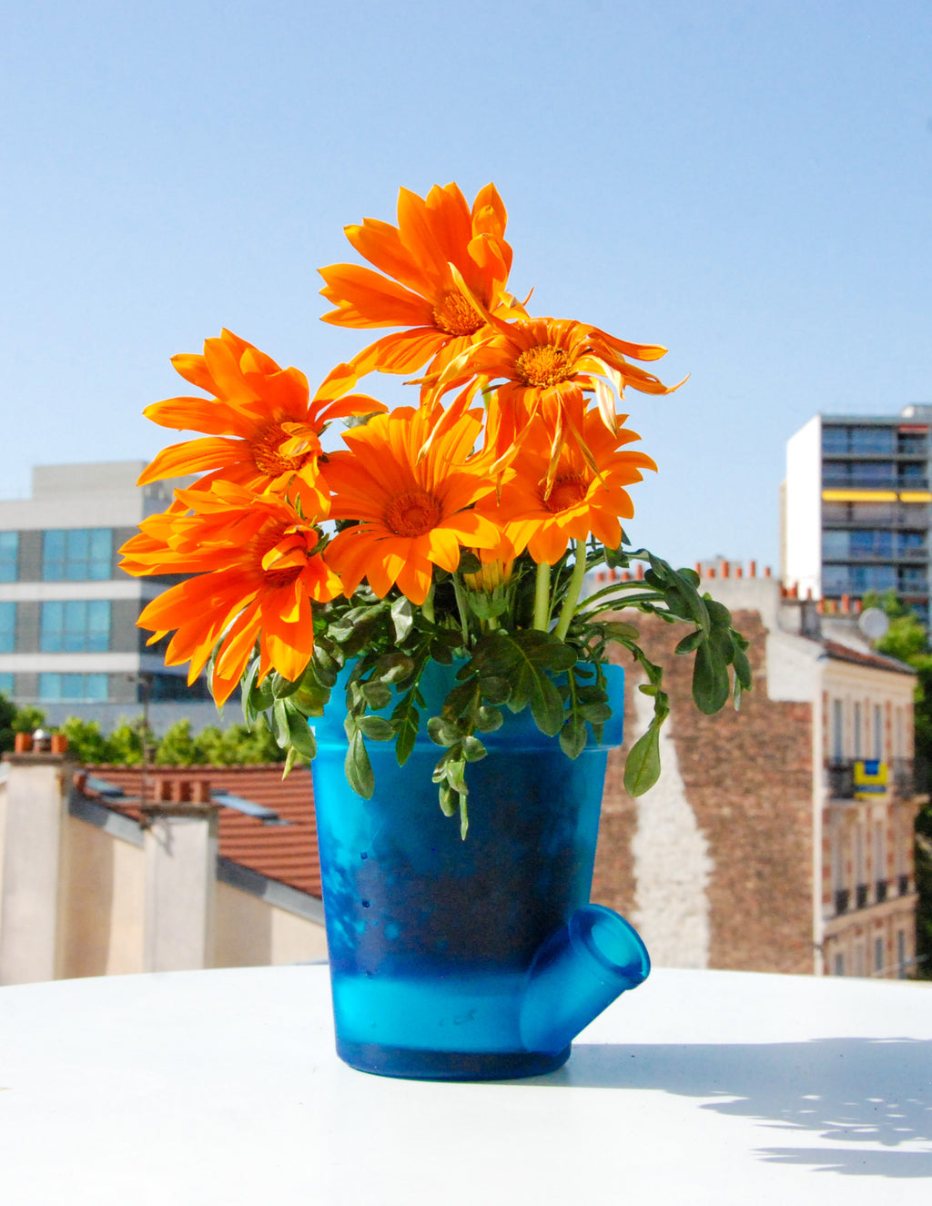 Grand Pot de Fleurs - PACK FROID