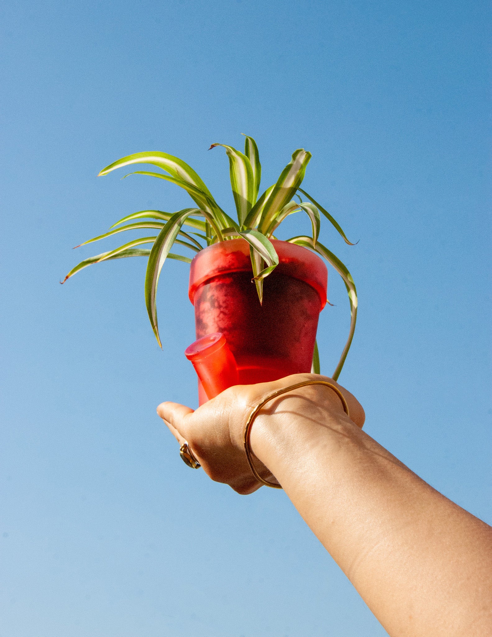 Petit Pot de Fleurs Rouge