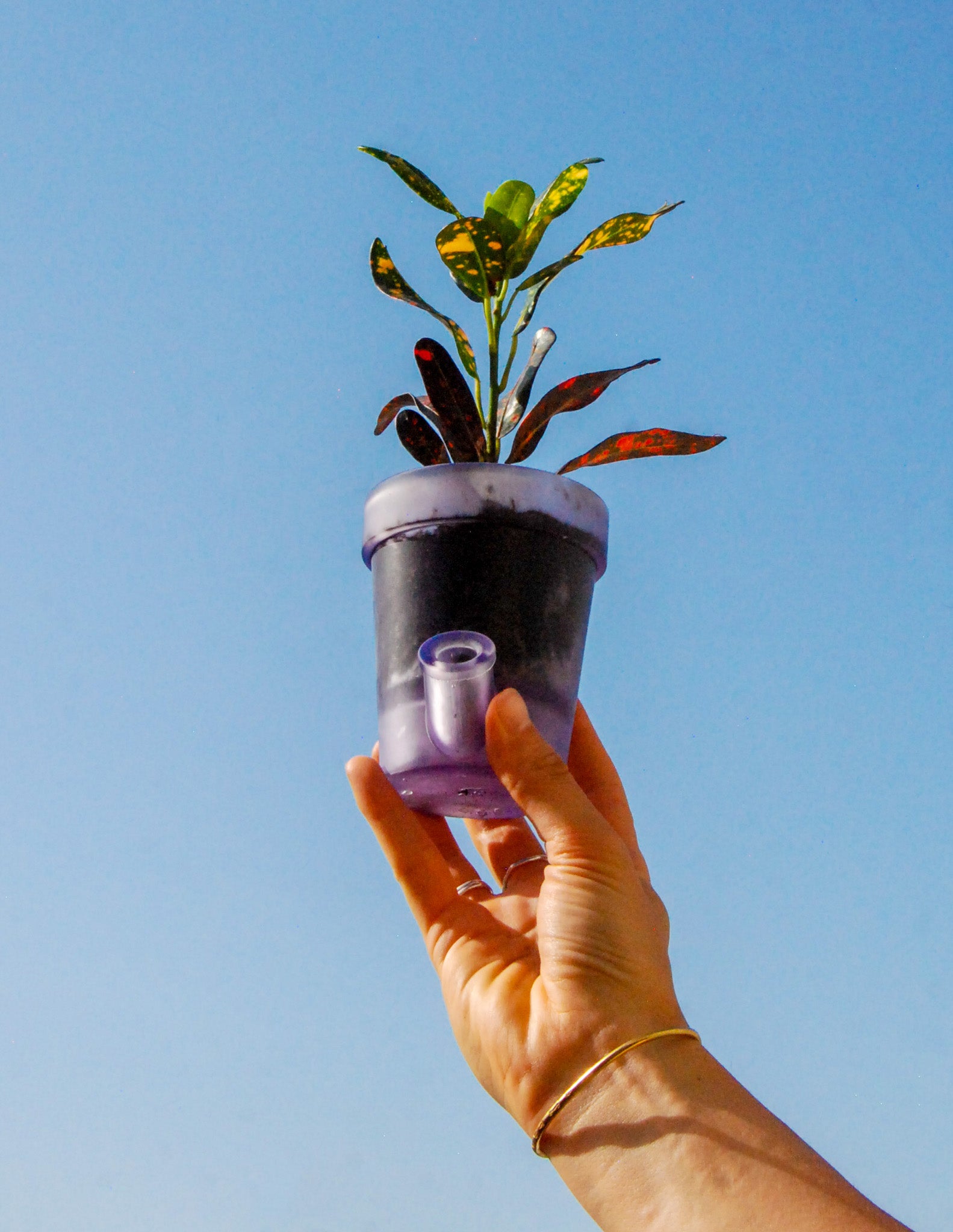Petit Pot de Fleurs - COMPLEMENTAIRE 3