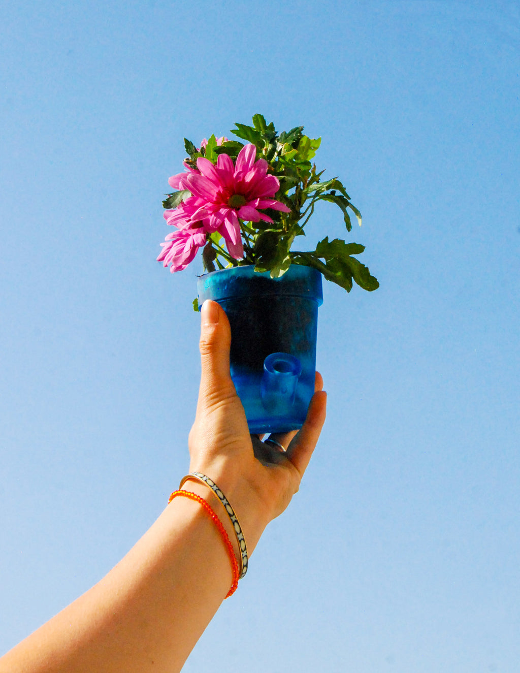 Petit Pot de Fleurs Bleu