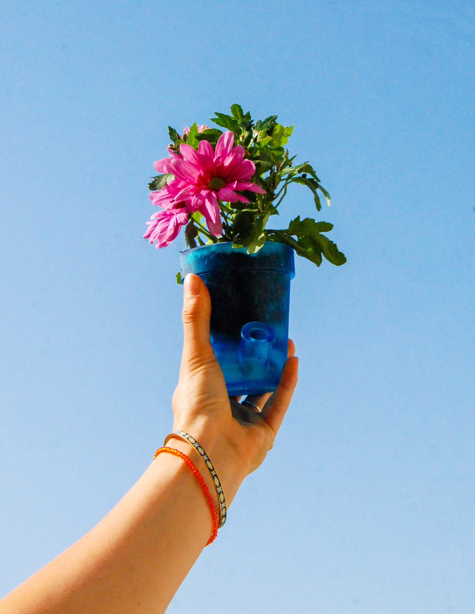 Grand et Petit Pot de Fleurs - PACK FROID