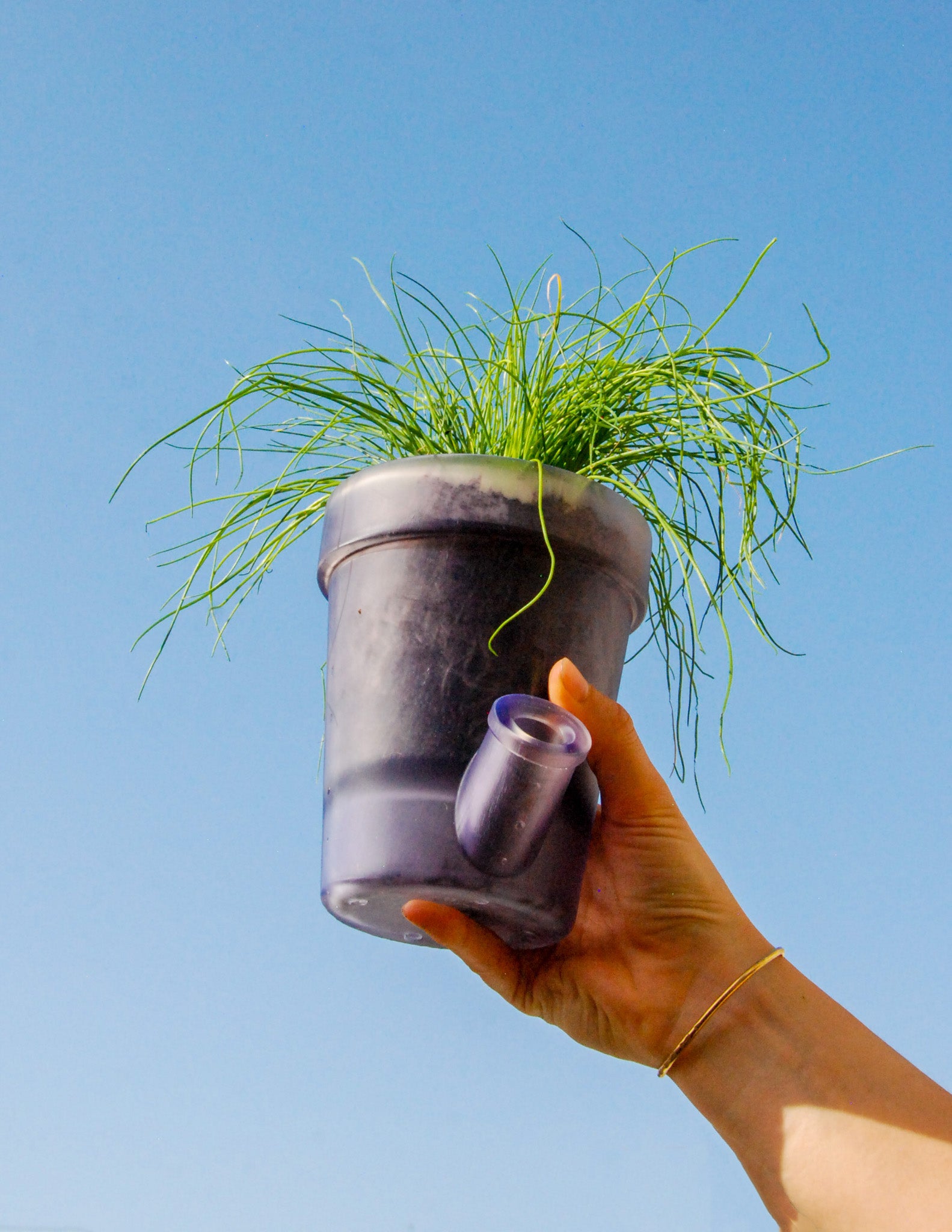 Grand Pot de Fleurs Violet