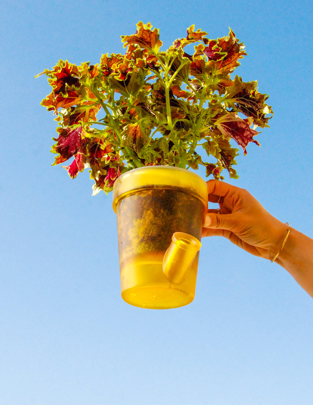 Grand Pot de Fleurs - COMPLEMENTAIRE 3