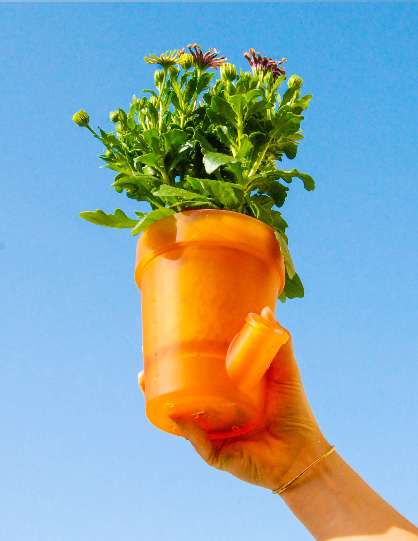 Grand et Petit Pot de Fleurs - PACK SECONDAIRE