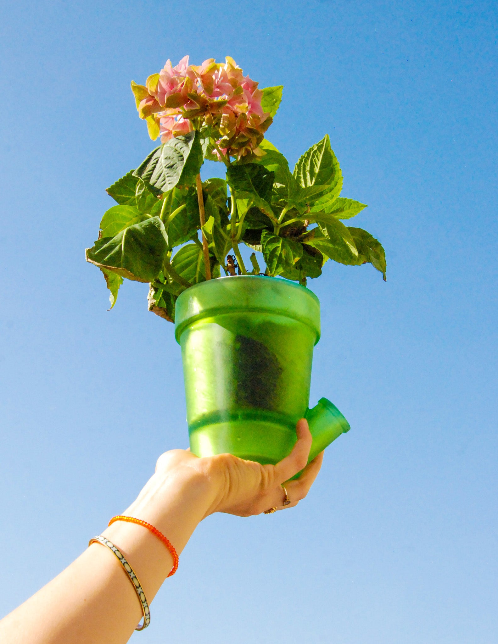 Grand Pot de Fleurs Vert