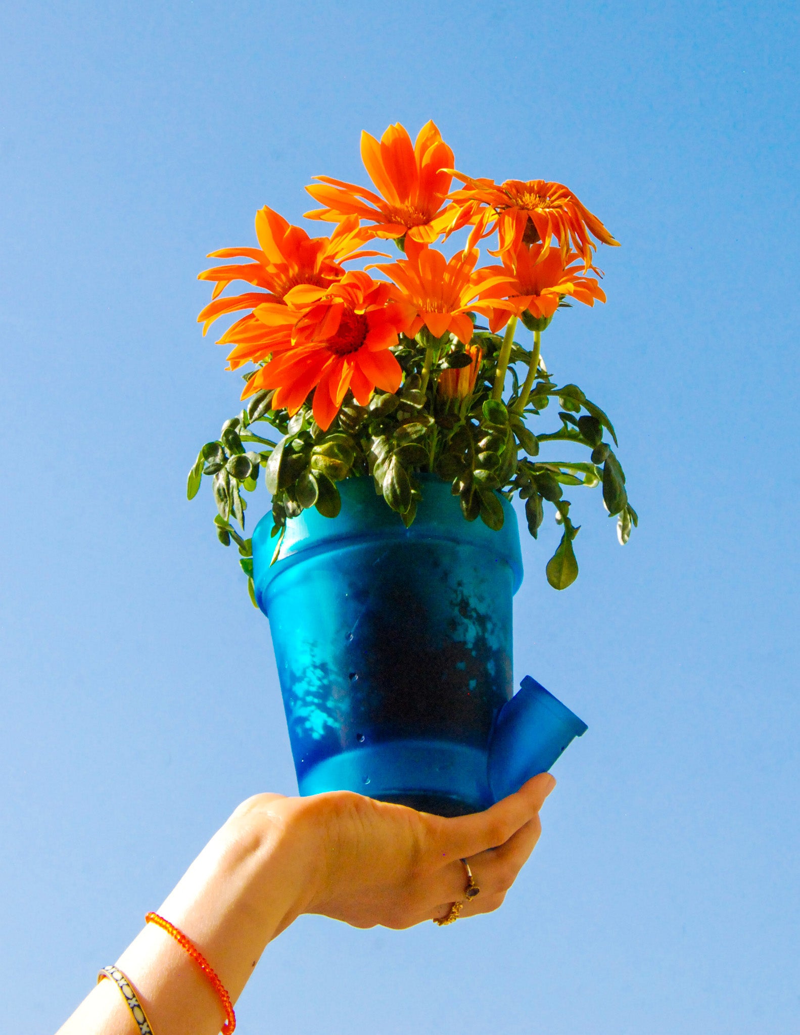 Grand Pot de Fleurs Bleu