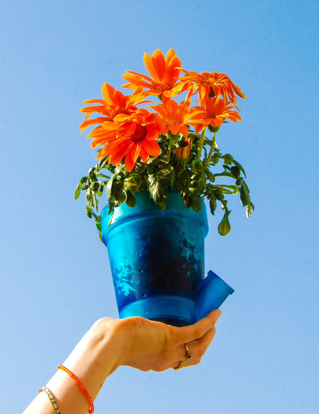 Grand et Petit Pot de Fleurs - PACK PRIMAIRE