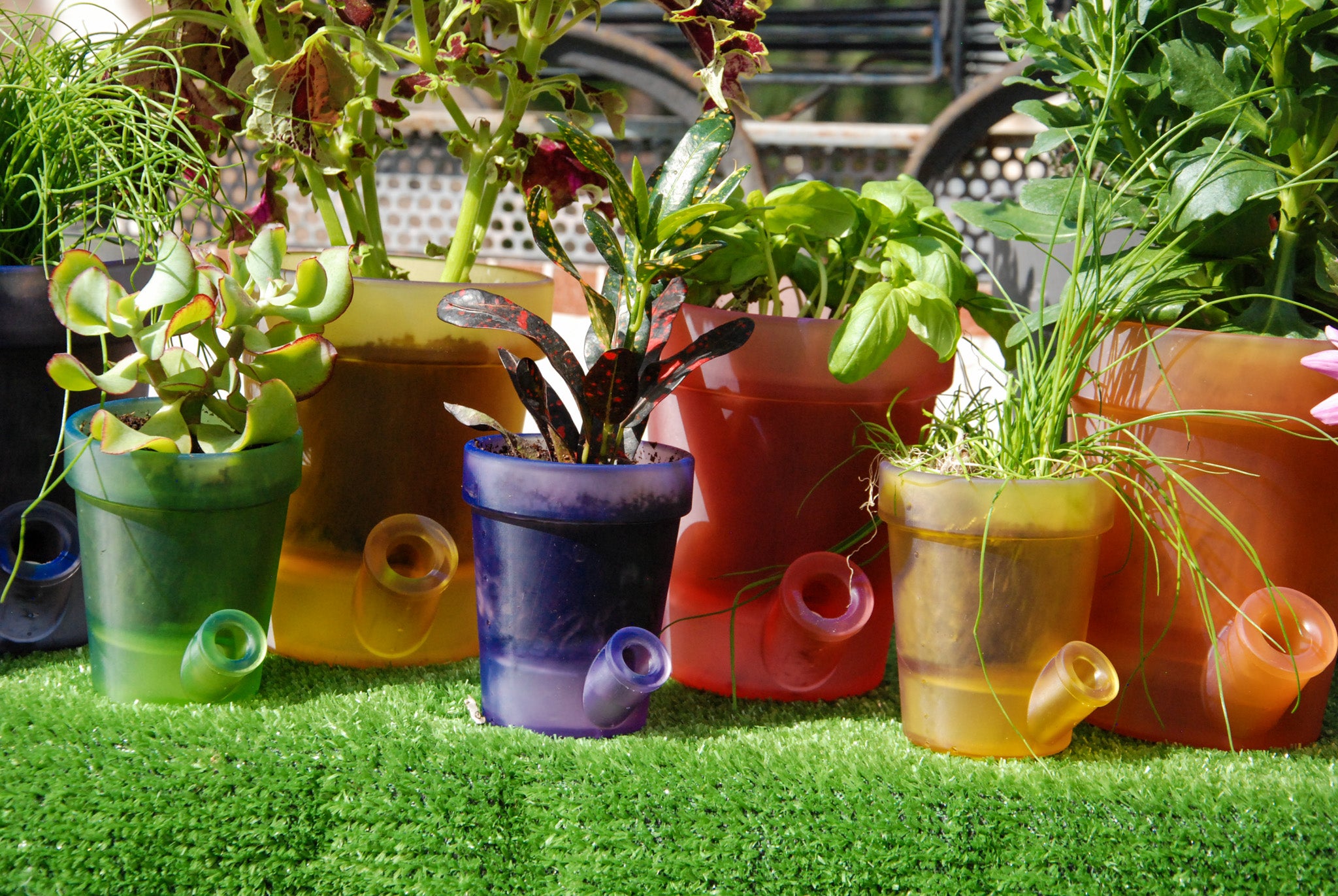 Grand Pot de Fleurs - PACK COMPLET
