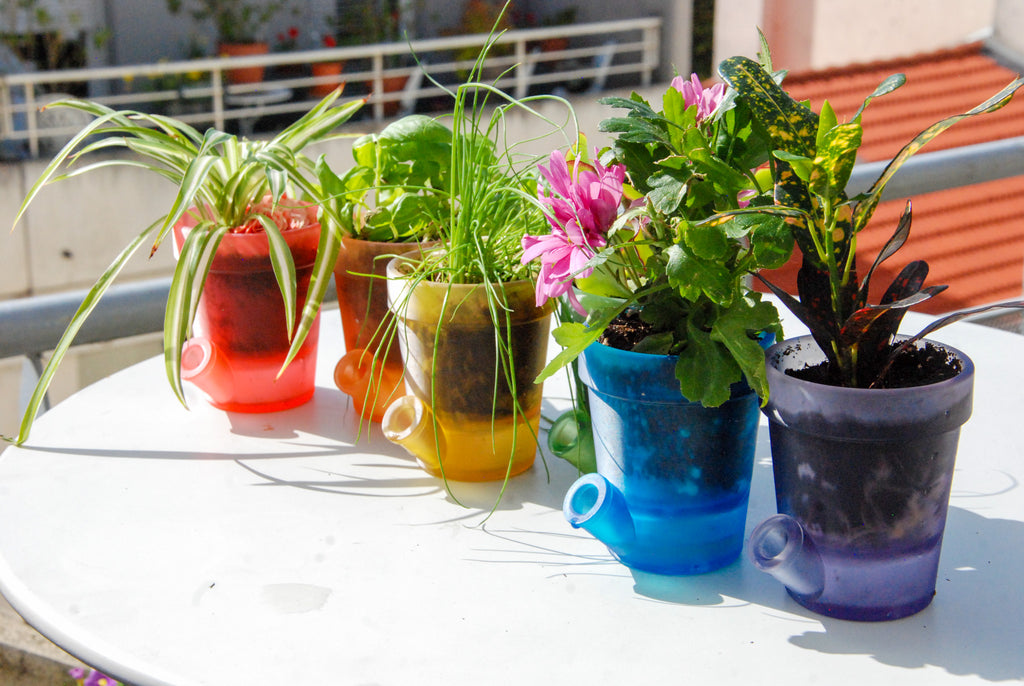 Petit Pot de Fleurs - PACK COMPLET