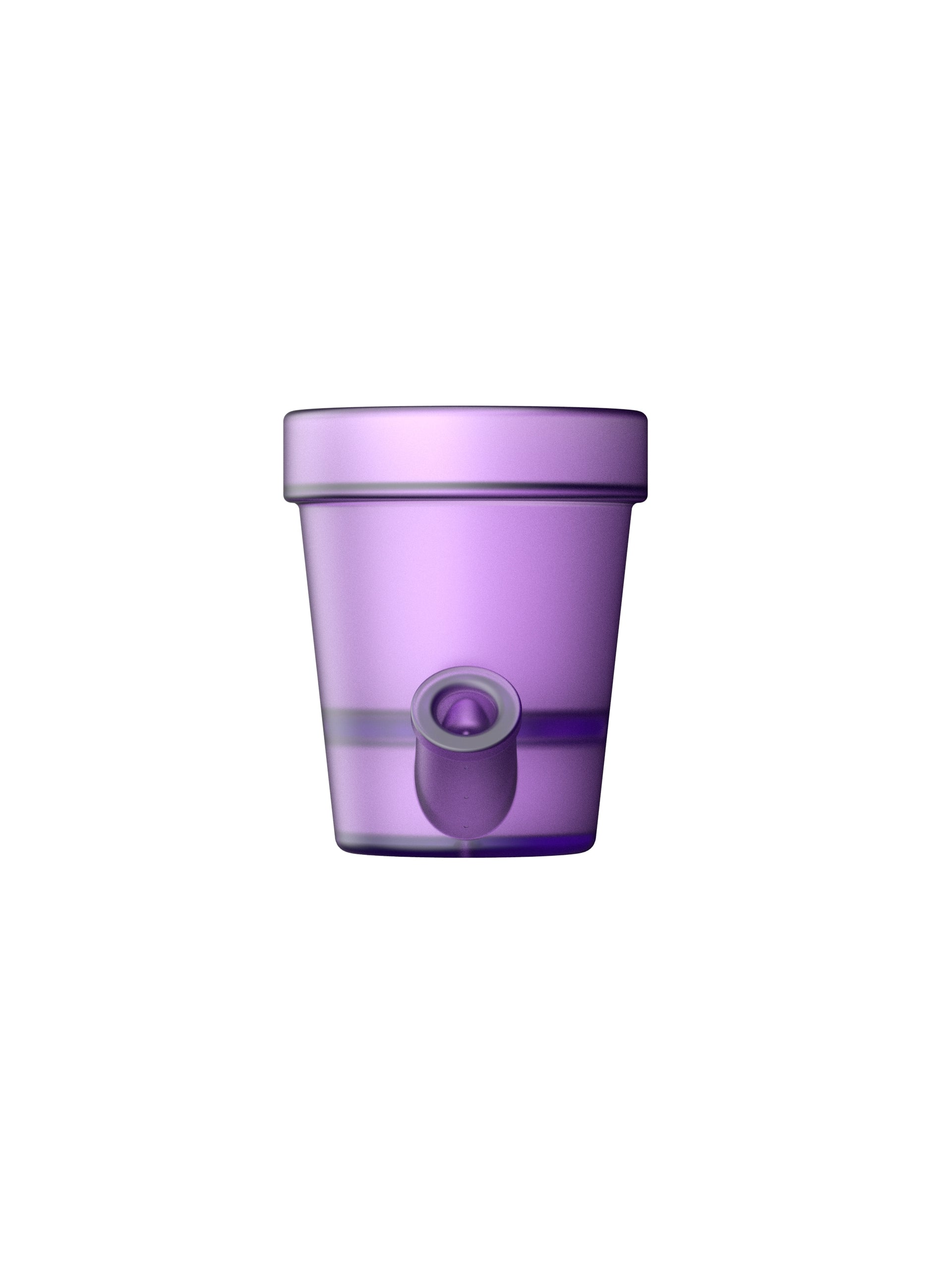 Petit Pot de Fleurs Violet